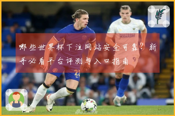 哪些世界杯下注网站安全可靠?新手必看平台评测与入口指南