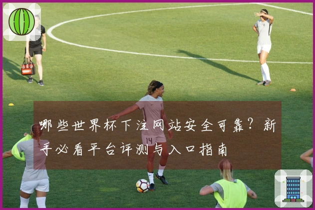 哪些世界杯下注网站安全可靠？新手必看平台评测与入口指南