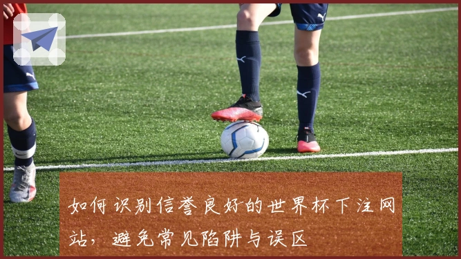 如何识别信誉良好的世界杯下注网站，避免常见陷阱与误区