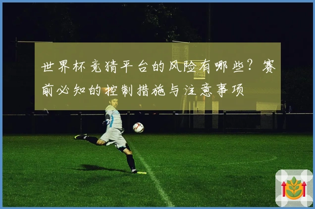 世界杯竞猜平台的风险有哪些？赛前必知的控制措施与注意事项
