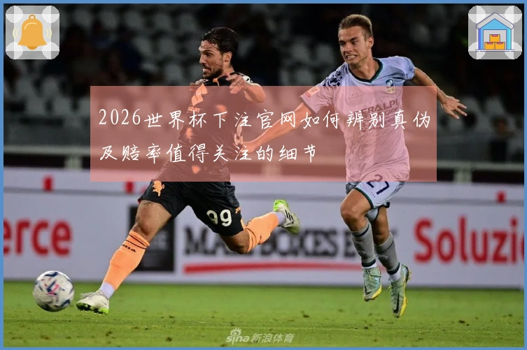 2026世界杯下注官网如何辨别真伪及赔率值得关注的细节