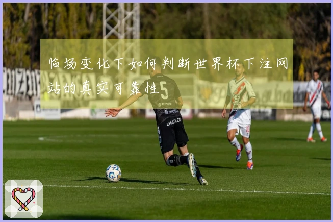 临场变化下如何判断世界杯下注网站的真实可靠性