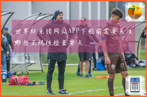 世界杯竞猜网站APP下载前需要关注哪些正规性检查要点